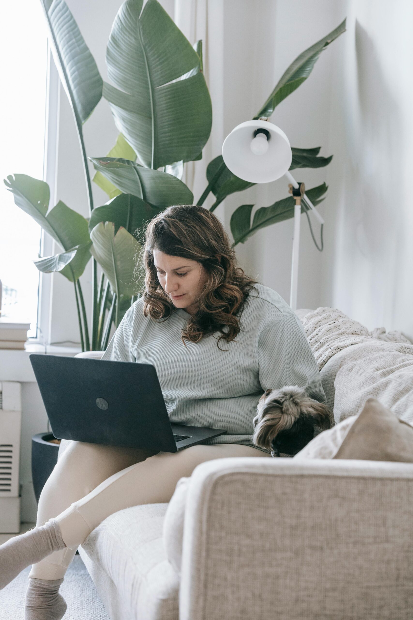 woman sitting on couch with sweatshirt on laptop and dog sitting next to her